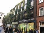 Green Wall in Covent Garden