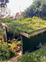 Green roof (livinggreenwalls.co.za - Jeremy O