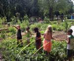 Community Garden Mariahof #1