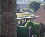 Arbroath Abbey Green Roof